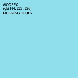 #90DFEC - Morning Glory Color Image